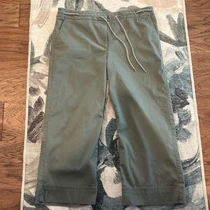 Talbots Wide Leg Crop pants in Sage/Olive size 14